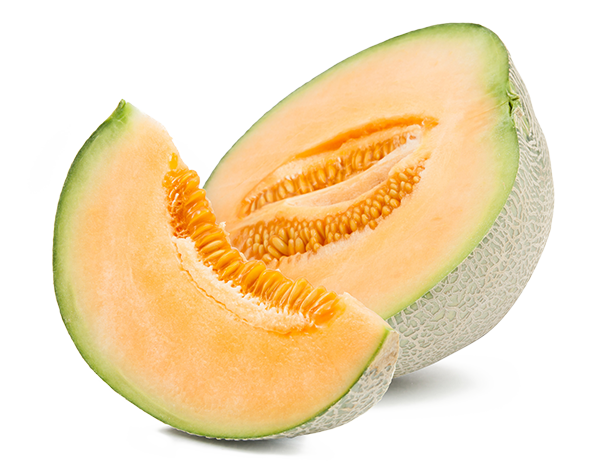 melón cantalupo